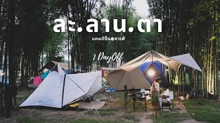 [VLOG] EP.1 ละลานตา แคมป์ปิ้ง&คาเฟ่ [ 1DayOff ]