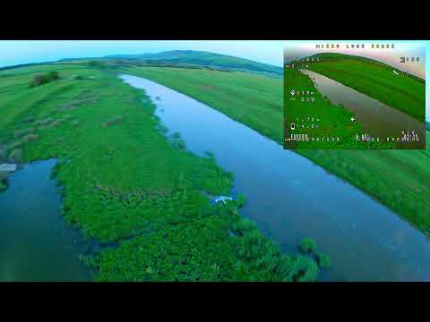 Mid Range FPV: Heron Encounter Over River (nearly killed my lipo) 🤯