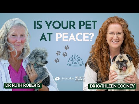 Peaceful Goodbyes: Everything You Need to Know About Pet Euthanasia