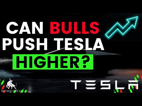 Tesla Stock Price Analysis | Top Levels To Watch for November 12th, 2024