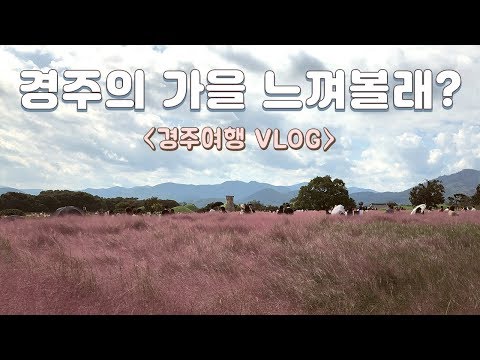 Gyeongju VLOG | Landscape in fall, Hwangri Dan-gil Tasty Road, Pink Muhly Grass