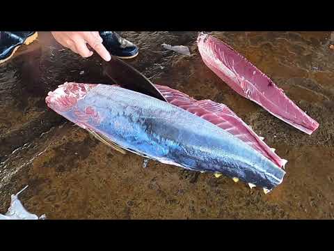 Yellowfin Tuna Cutting Skills  黃鰭鮪魚切割技能   Taiwanese Seafood 3