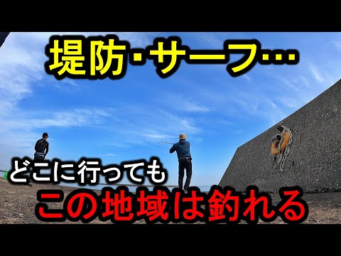 【新潟遠征２】堤防・サーフ…初めてでも魚が釣れまくる楽園がここにあった。