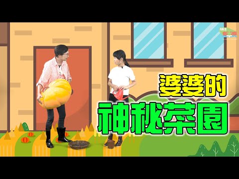 婆婆的神秘菜園｜ 改編戲劇｜#HKSOCIALTV #戲劇 #樂齡一族