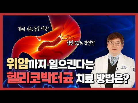 헬리코박터파일로리균 치료 방법은?