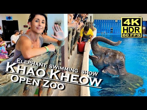 Khao Kheow Open Zoo Elephant swimming show 4K 60fps HDR (UHD) 💖 Elephant feeding 👀 Thailand 🇹🇭