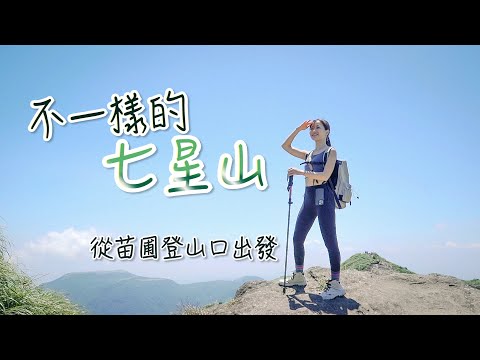 【 爬山 】不一樣的七星山！美翻了！苗圃登山口，幾乎都是樹蔭路線！登頂眺望山稜線