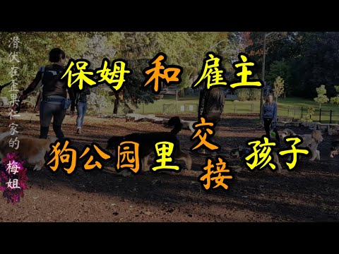 ＃雇主和保姆  ＃狗公园里交接孩子 ＃leashfreedogpark ＃加拿大保姆 ＃加拿大生活 ＃加拿大移民 ＃多伦多