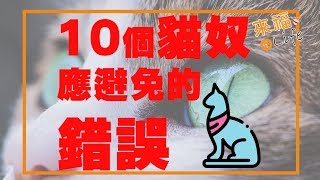 貓奴必看！10個貓奴應避免的錯誤!