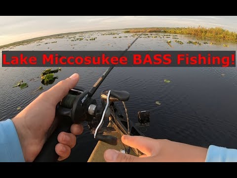 Lake Miccosukee bass fishing! Gmoneystrong online tournament!