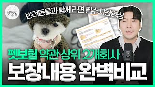 펫보험 추천 상위2개 회사 보험약관 비교!!(반려동물 보험을 준비하신다면 이 영상 꼭 시청하셔야 합니다)