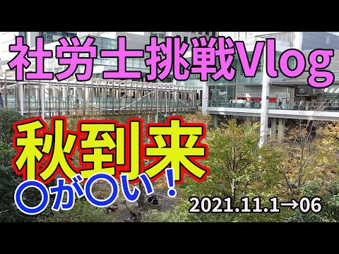 【社労士試験】秋本番～過去問との向き合い方【Vlog】