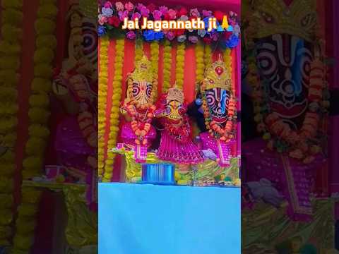 Jagannath ji yatra #jagannath #puri #harekrishna #iskcon  #trending #youtubeshorts #yatra