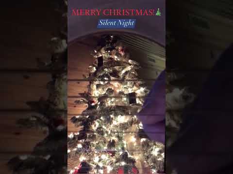 Silent Night Fingerstyle Guitar/ Merry Christmas!!! #acousticguitar #music #silentnight #christmas