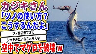 【2ch動物スレ】最速魚類「カジキ」ヤンチャがすぎた結果→空中でマグロを破壊する圧倒的な攻撃力を見せつけるwwwww【なんj/にちゃん 面白いスレ】