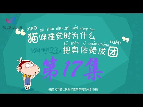 阿U学科学 第17集 猫咪睡觉时为什么把身体蜷成团