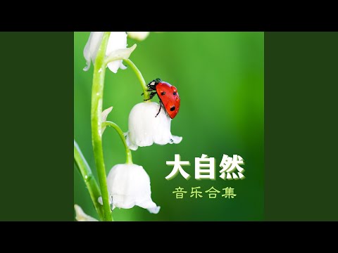 大自然的白噪音