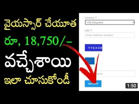 ysr cheyutha payment status link 2024 || ysr cheyutha status link 2024