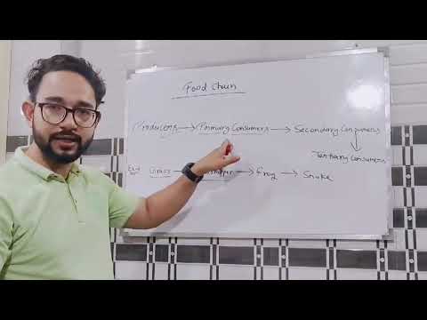 Food Chain Class 10 Biology | Our Environment | @Khanstudypoint