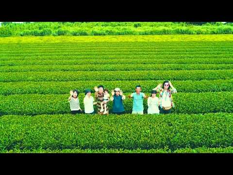 ３【ドローン映像】紅茶専門店くれは　南薩摩紅茶　天空の茶園より　錦江湾を望む　地上１００メートルからの空中撮影　岡本啓さん　後藤望さん（鹿児島県肝属郡南大隅町根占　２０１７年０７月１２日）