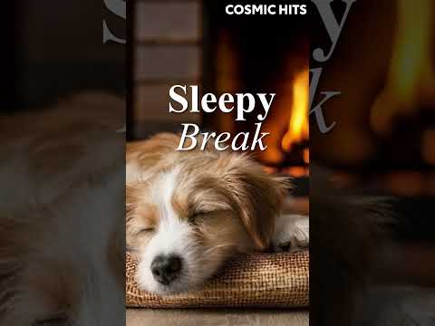 Music for sleepy and adorable dogs 🐶💤 #CalmMusic #PetMusic #DogMusic