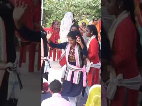 Odisha Lok Nritya#video #viral #shoat #viral