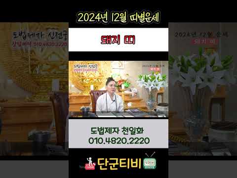 24년12월[돼지띠]운세/도법제자 천일화/천지도운신전궁/무료점사/안성점집