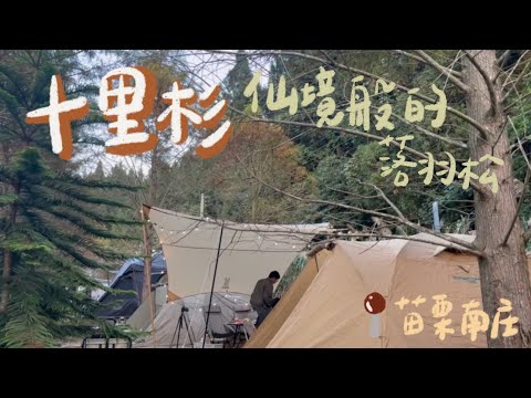 肥胖勾Camping｜第十九露｜十里杉露營區｜苗栗南庄｜仙境般的落羽松｜DOD焚火夾｜春川辣炒雞｜冬季露營