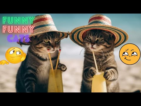 Funny Cat Video Compilation😂 Funny Cat Videos Try Not To Laugh 😹 World's Funniest Cat Videos😺Part 46