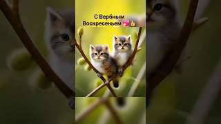 Поздравляю с Вербным Воскресеньем 💖👍