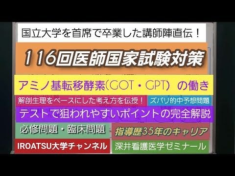 24年の実績[116回医師国家試験対策]予想問題－アミノ基転移酵素(GOT ・GPT）－深井看護医学ゼミナール・深井カウンセリングルーム・深井進学公務員ゼミナール・深井ITゼミナール