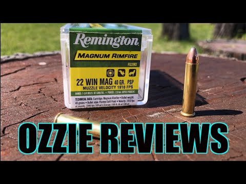 Remington 40gr PSP 22 Magnum Accuracy Test