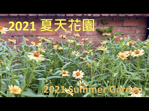 夏天花園 - summer garden - ｛種花篇 Gardening｝