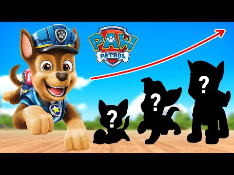 Paw Partol Hero Academy: Chase, Skye And Other Growing Up Transformation!