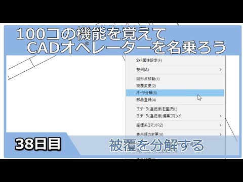 【ＣＡＤオペレーターを名乗りたい】被覆を分解する【１００日チャレンジ】