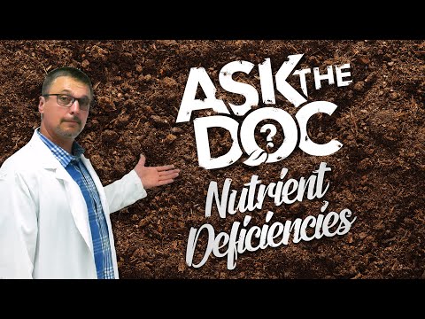 Ask the Doc: Plant Nutrient Deficiencies in the Garden