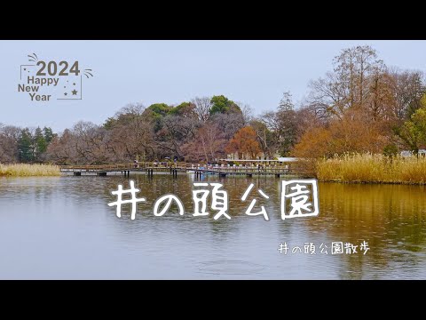 【新年初散歩】お正月に井の頭公園をぶらり散歩！猿もいた。#新年 #井の頭公園 #吉祥寺