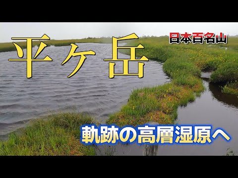 【平ヶ岳】奇跡の高層湿原