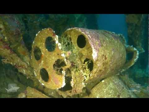 Momokawa Maru, Truk Lagoon. Dive this Japanese WWII shipwreck with Blue Lagoon Dive Shop.