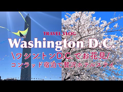 [Fastest] Cherry Blossoms in Washington DC / Staying at Conrad / 2 Day 1 Night Trip VLOG