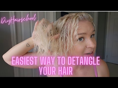 Detangling Hack: Blow Dry Without Brushing Wet Hair & Let the Tangles Fall Out!