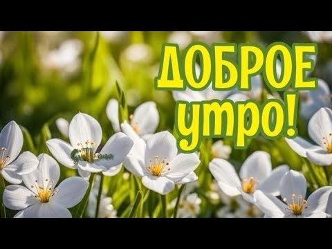 ДОБРОЕ УТРО! Прекрасного начала дня! Шикарная музыкальная открытка для вашего хорошего настроения ❤️