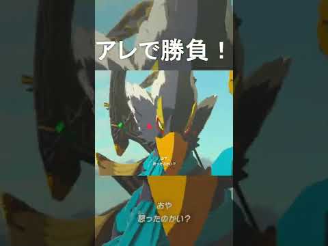 アレで勝負するリンクとリーバル【ゼルダの伝説ブレスオブザワイルド】 ＃Shorts