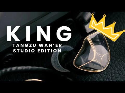 Studio-Quality Sound for $21? Tangzu Wan'er Studio Edition