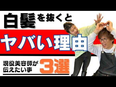 白髪問題シリーズ第一弾！白髪を抜くリスクを5分で解説！