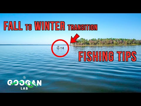 FALL TO WINTER Transition BASS FISHING TIPS!