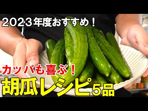 『胡瓜レシピ５品！』☆この夏おすすめ！アレンジレシピで大量消費！☆