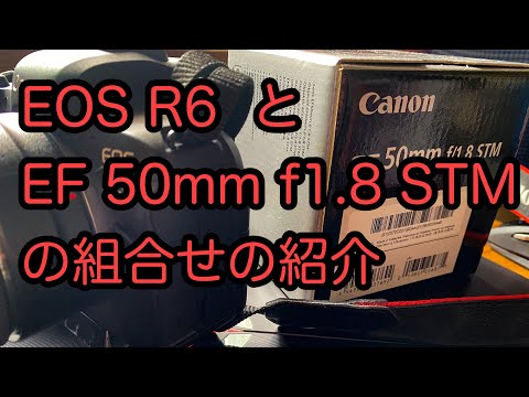 EOS　R6とEF50ｆ1.8STMの組合せ