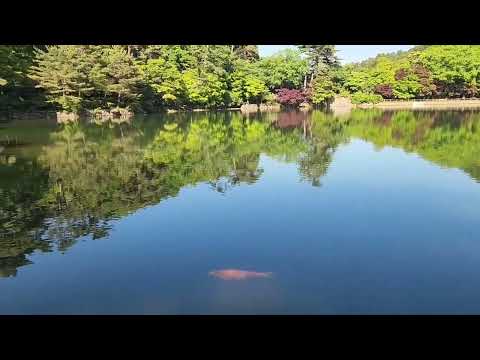 六甲山にあります再度公園(ふたたびこうえん)に行ってきました🎵