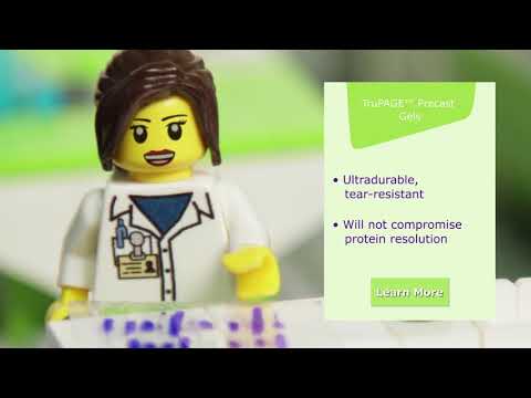 Rethink Western Blotting - MilliporeSigma LEGO Video